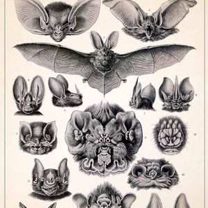 Meet your Posher, Keri